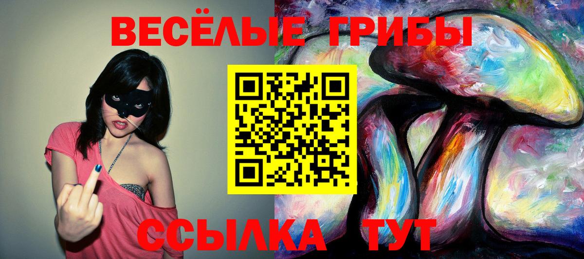 Галлюциногенные грибы ЛСД Тулун