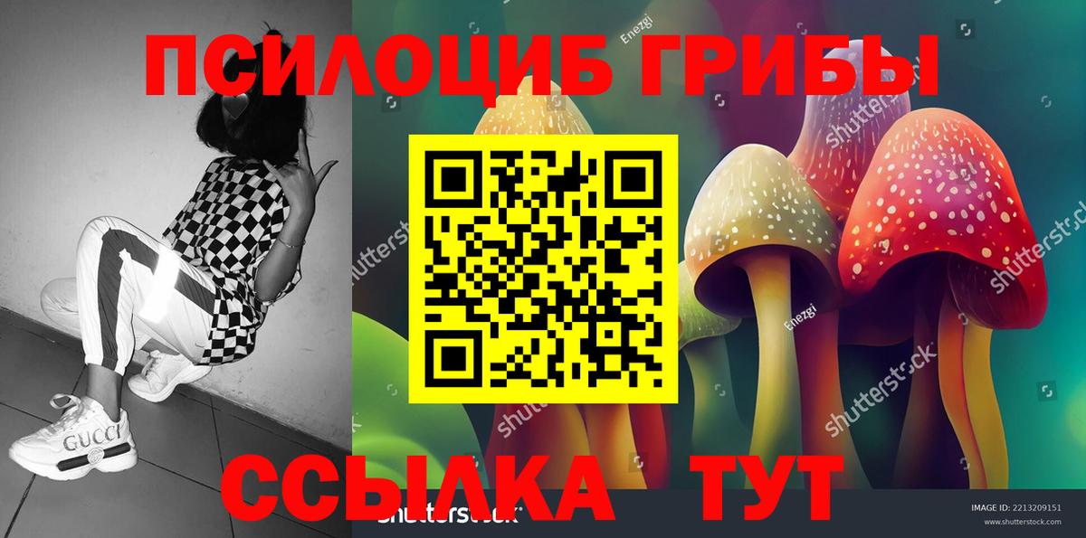 Тулун  Псилоцибиновые грибы прущие грибы  где продают наркотики  Вход с VPN 